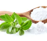 stevia Plant
