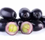 Black Jamun Fruit Plant
