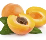 Mammea americana(tropical apricot)Fruit Plant