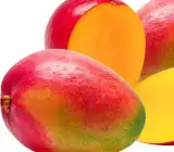 Apple Mango - Grafted plant