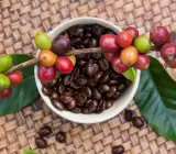 Coffee Fruit plant