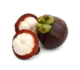 Mangosteen Fruit Plant