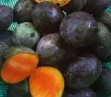 Kasturi mango Fruit plant