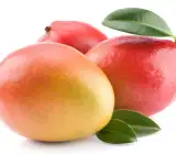 Neeluim Bori Mango ( Grafting) Plant
