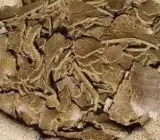Mustard Cake (Sarso Khali) Organic Fertilizer for Plants