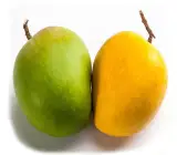 Banaganpalli ( Grafting ) Mango Fruit Plant