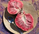 Miami Red Custard Apple Grafted Fruit Plant – Rare Exotic Annona Live Plant