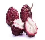 Red Custard Apple Plant