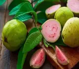 Lalit Guava Grafted Fruit Plant – Premium Sweet Guava Live Plant