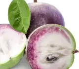 Milk fruits plant