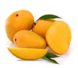 Kesar Mango ( Grafting ) Fruit Plant