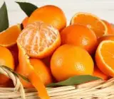 Sylhet Orange Fruit Plant