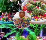 Decorative Colour Pebbles for Pots & Garden – Multicolor Stones (Per Kg)