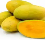 Dasheri Mango ( Grafting ) Fruit Plant