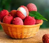 Atha BomBay Litchi Fruit Plant