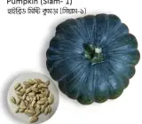 Spl Kali Kumra(Black Pumpkin) Seeds for Planting (Pack of 50 seeds)