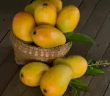 kothapalli kobbari ( Grafting ) mango plant