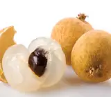 4 Season Longon Fruit Plant