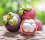 Mangosteen Fruit Plant