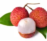 Bombay Litchi Fruit Plant