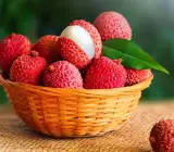 Atha BomBay Litchi Fruit Plant