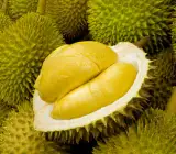 Durian Fruit Plant | King of Fruits | Premium Exotic Variety