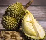 Durian Fruit Plant | King of Fruits | Premium Exotic Variety