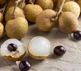 Lubi Longan Fruit Plant | Sweet Exotic Lychee-Like Fruit