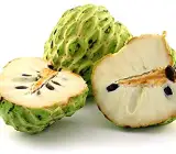 Golden custard apple plants