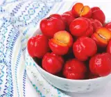 Barbados cherry