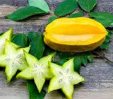 All time Star-fruit plant