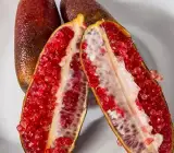 Finger Lemon Red _ Grafted and Hybrid Plants