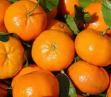 Chiness Orange Plant(Grafted)
