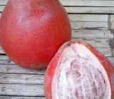 Red Batabi Fruit Plant