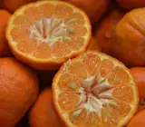 Dancy Tangerine Orange Fruit Plant