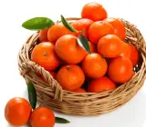 Pakistani Kinu Fruit Plant