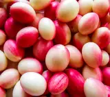 SWEET KARUNDA(KARAMCHA)FRUIT PLANT