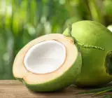 Coconut Fruit Plant