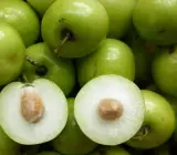 Indian Jujubee Gola (Grafting) Fruit plant