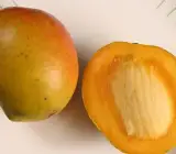Kishanbhog mango Fruit plant