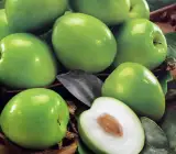 Indian Jujubee Gola (Grafting) Fruit plant