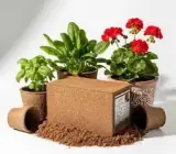 Coco Peat Powder 5 Kg – Natural Soil Conditioner & Growing Medium