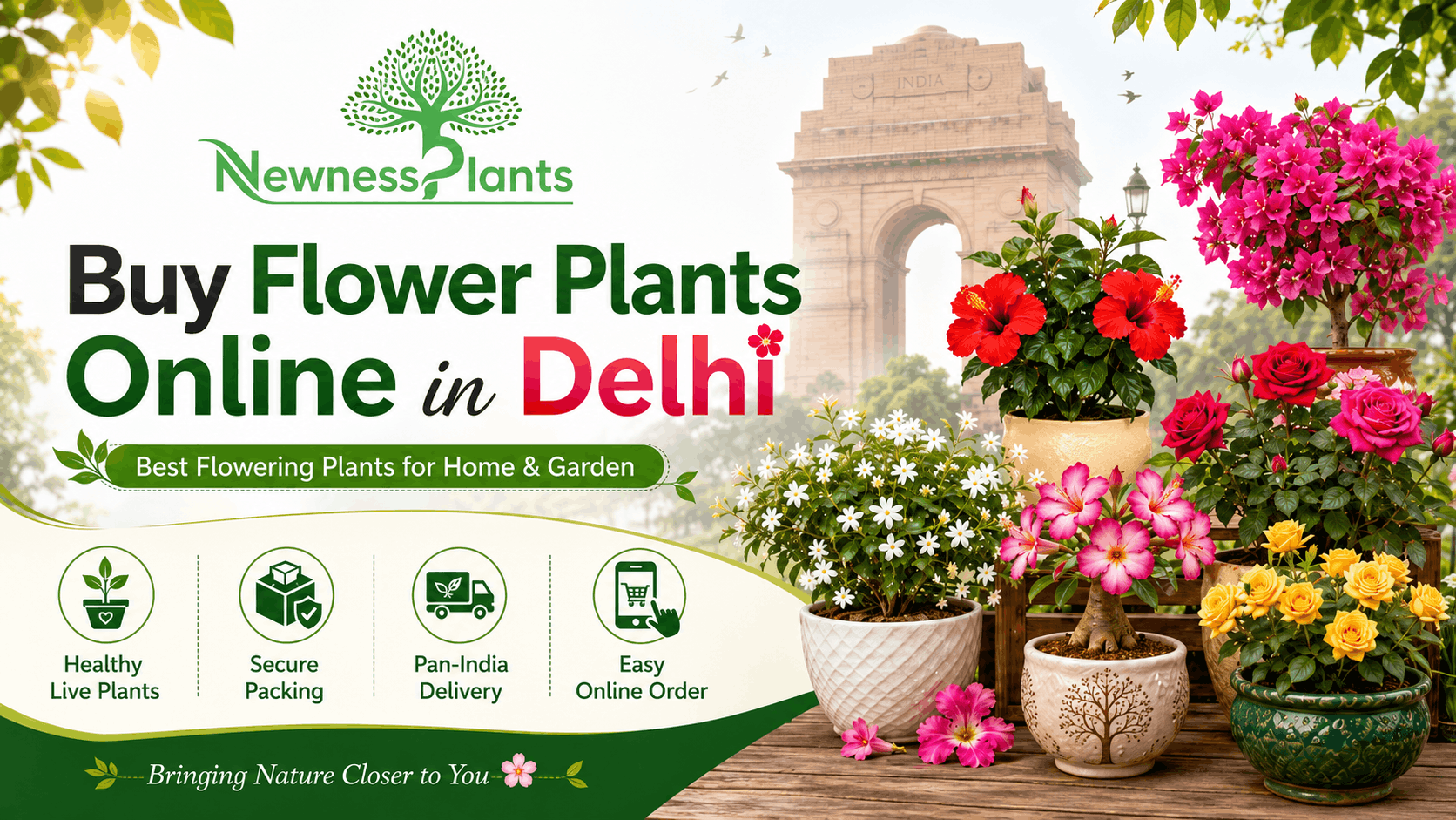 Buy Flower Plants Online in Delhi from NewnessPlant