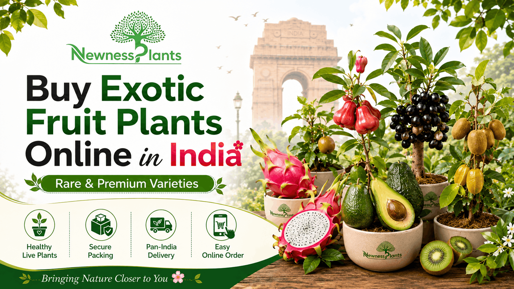 Buy Exotic Fruit Plants Online in India from NewnessPlant
