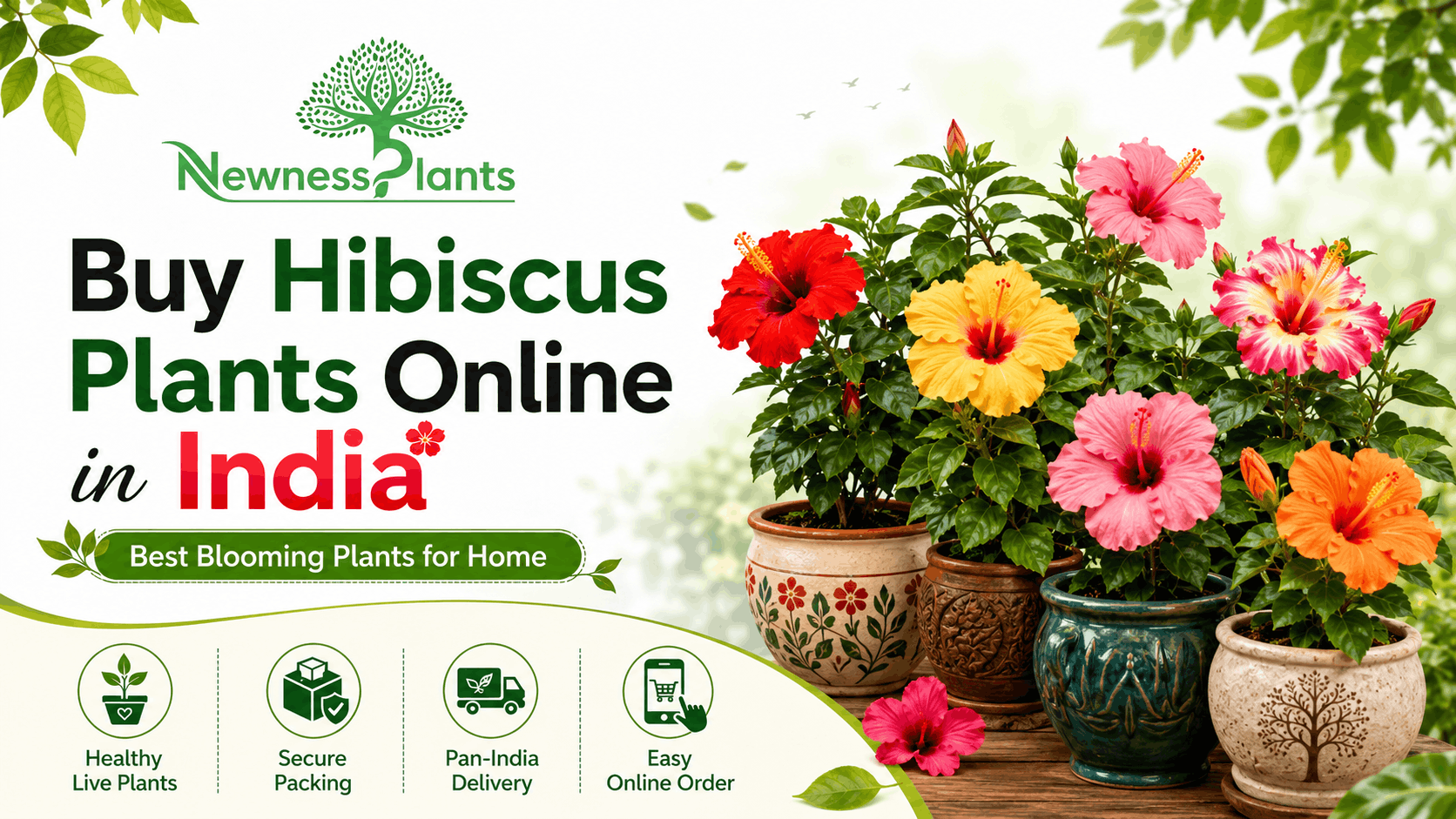 Buy Hibiscus Plants Online in India from NewnessPlant